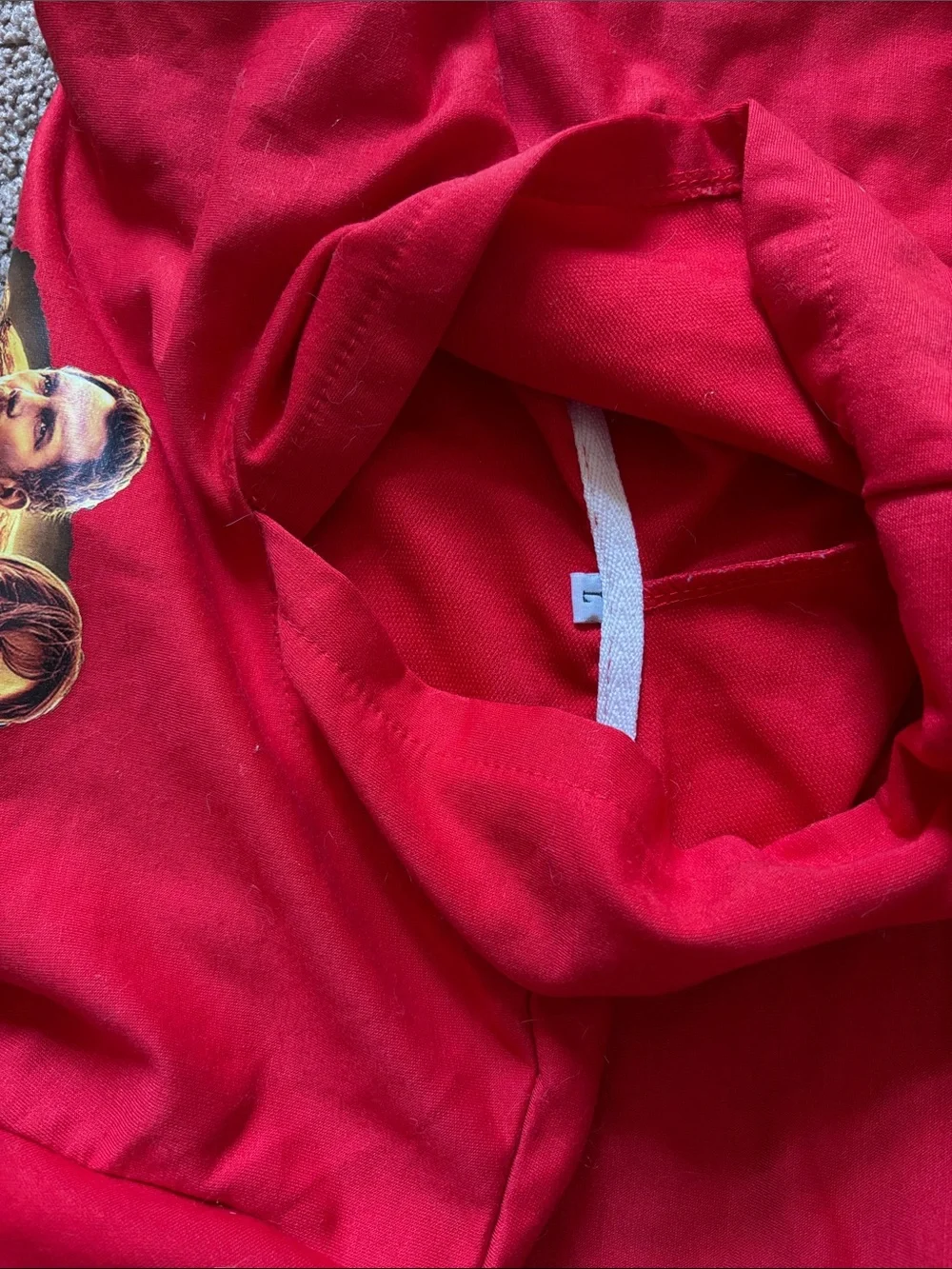 #280 Jurassic World Red Graphic Hoodie Sweatshirt - Kids